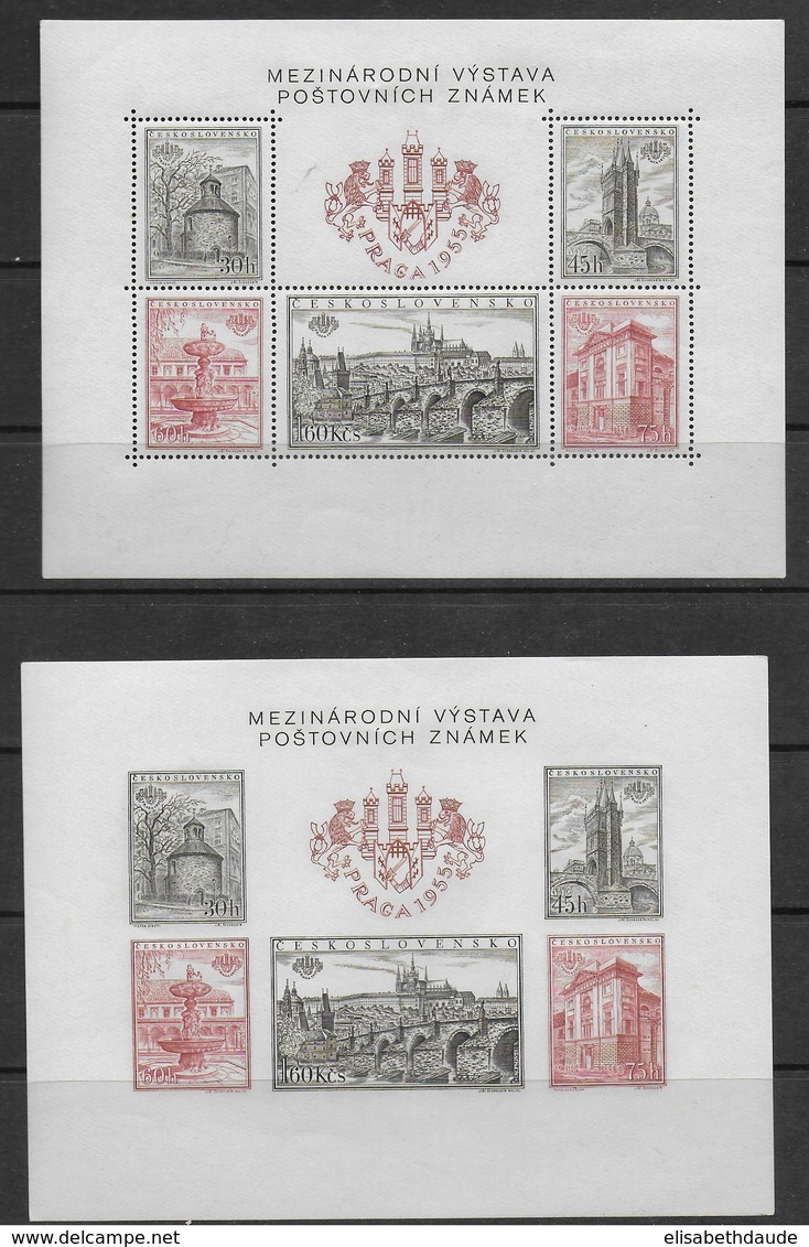 TCHECOSLOVAQUIE - 1955 - BLOC YVERT N°19 DENTELE + NON DENTELE ** MNH - COTE = 170 EUR. - Blocchi & Foglietti