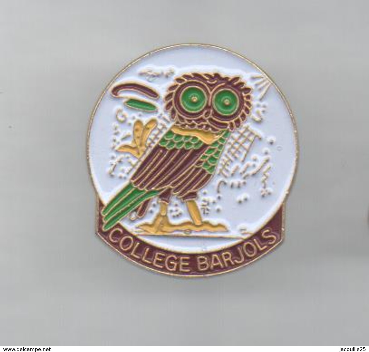 PINS PIN'S ANIMAL CHOUETTE HIBOU COLLEGE BARJOLS VAR - Dieren