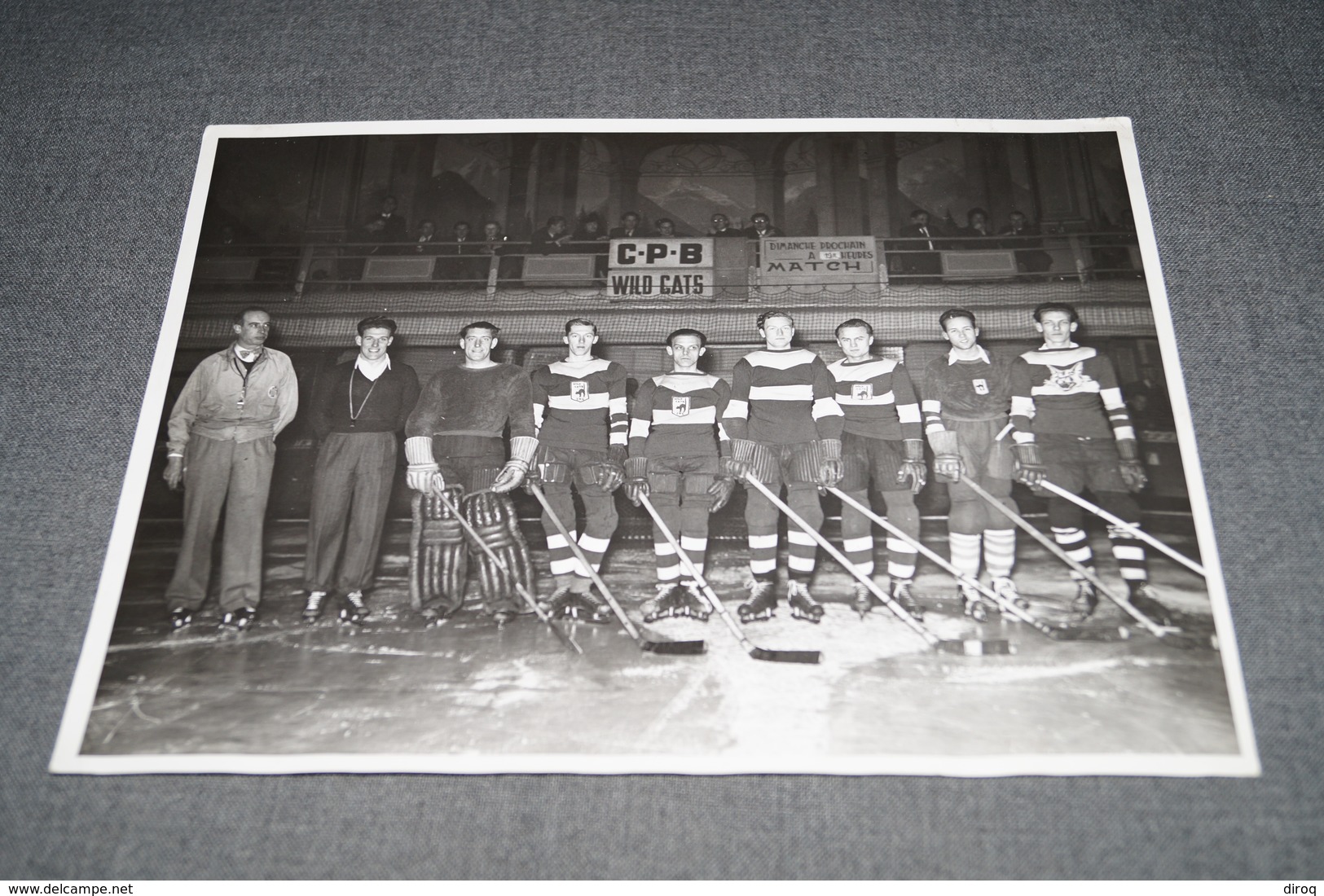Ancienne Photo Originale Hockey Sur Glace,C.P.B. WildCats,photo Pierre Baguet,Ypres-Poperinge,24 Cm. / 18 Cm. - Sports
