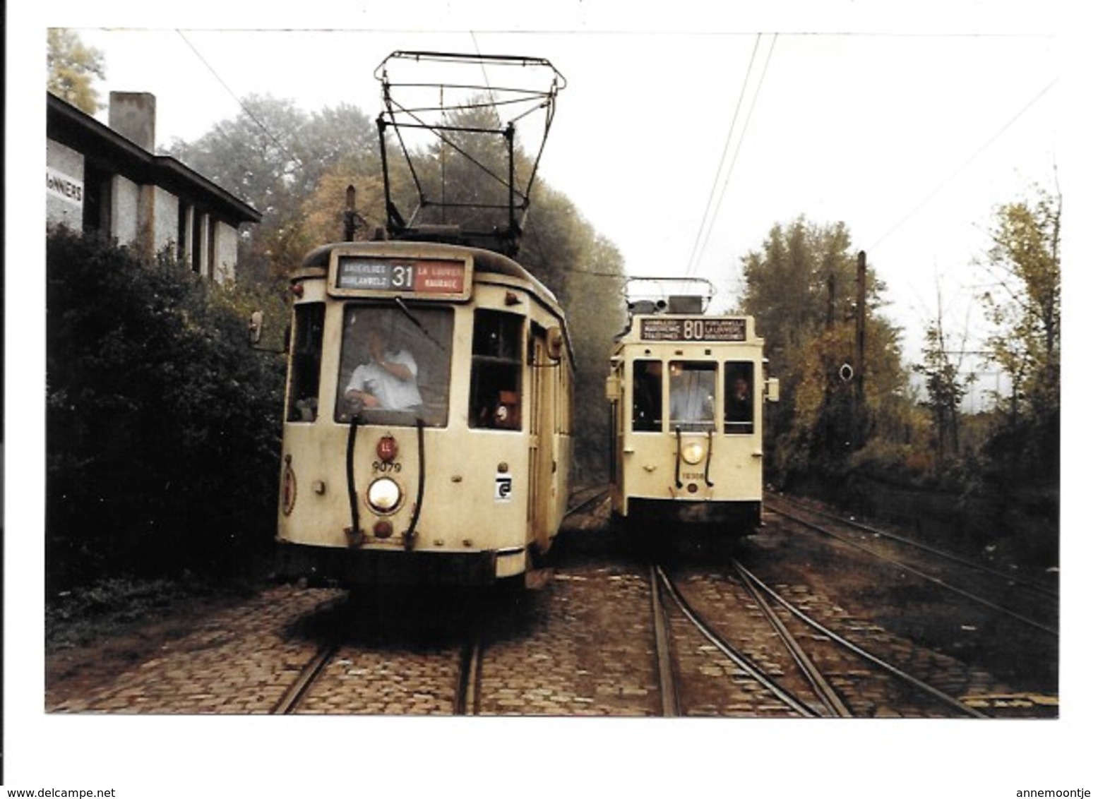 Charleroi - Trams Ligne 31 Et 80. - Autres & Non Classés