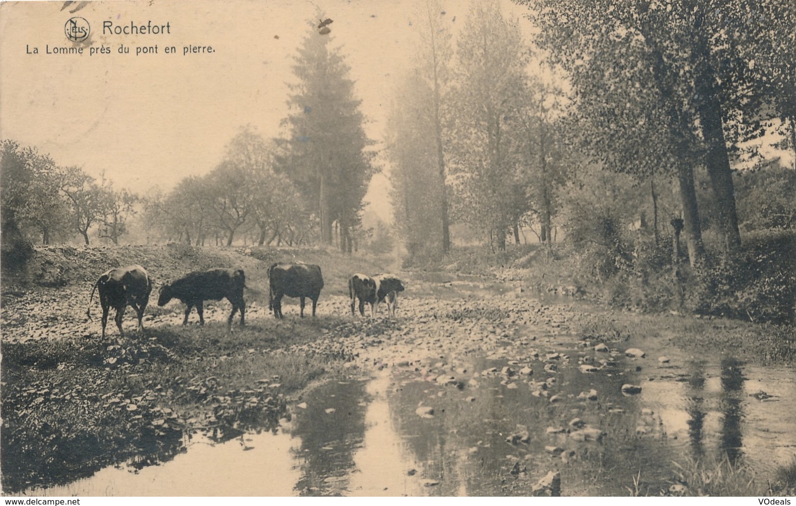 CPA - Belgique -  Rochefort - La Lomme Près Du Pont En Pierre - Rochefort