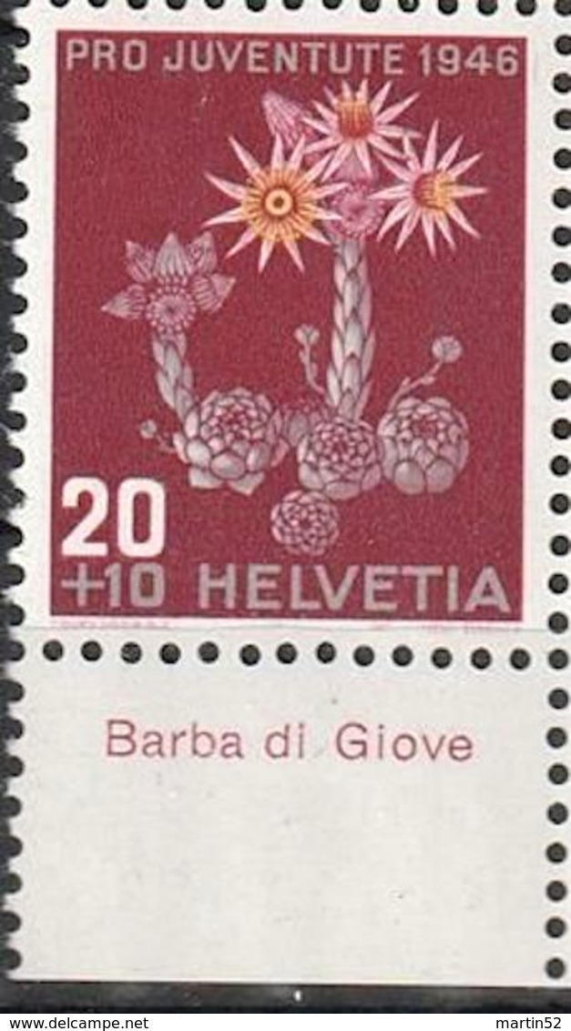 Schweiz Suisse Svizzera: Pro Juventute 1946 Zu 119 Mi 477 Yv 435 ** MNH & Tab "Barba Di Giove" (CHF 5.00) - Autres & Non Classés