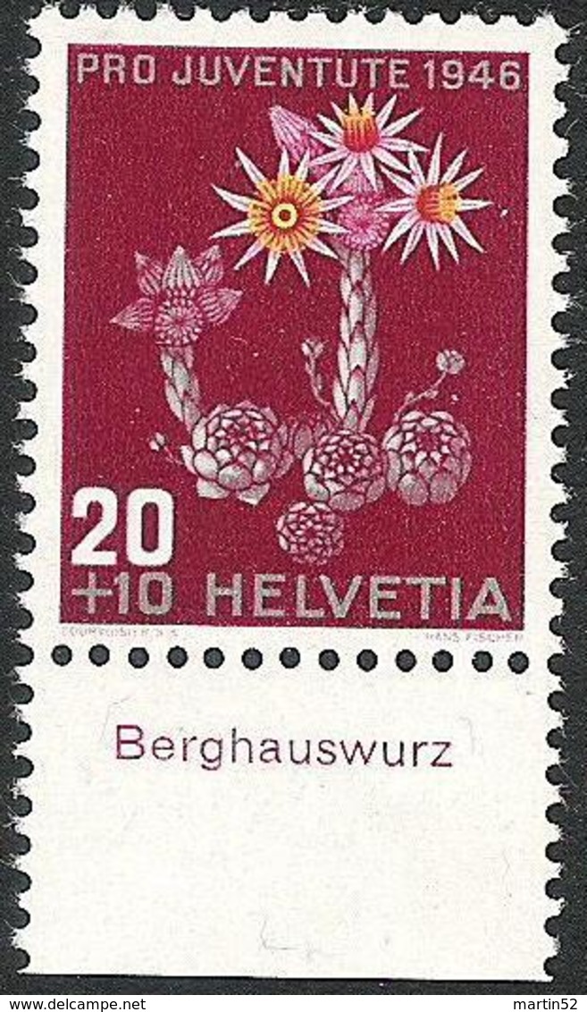 Schweiz Suisse Svizzera: Pro Juventute 1946 Zu 119 Mi 477 Yv 435 ** MNH & Tab "Berghauswurz" (CHF 5.00) - Autres & Non Classés