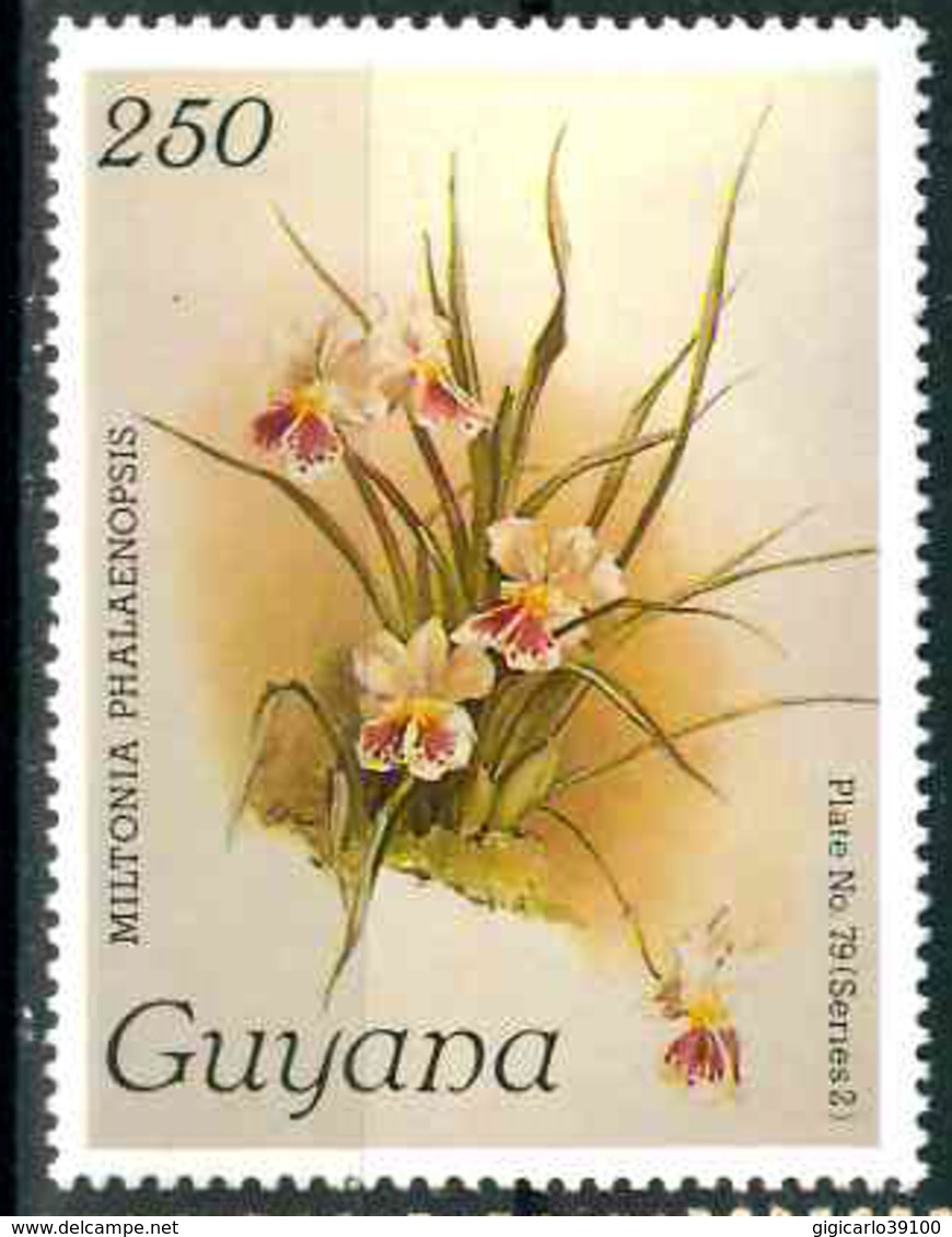 GUYANA FLOWERS FLEURS - Guyane (1966-...)