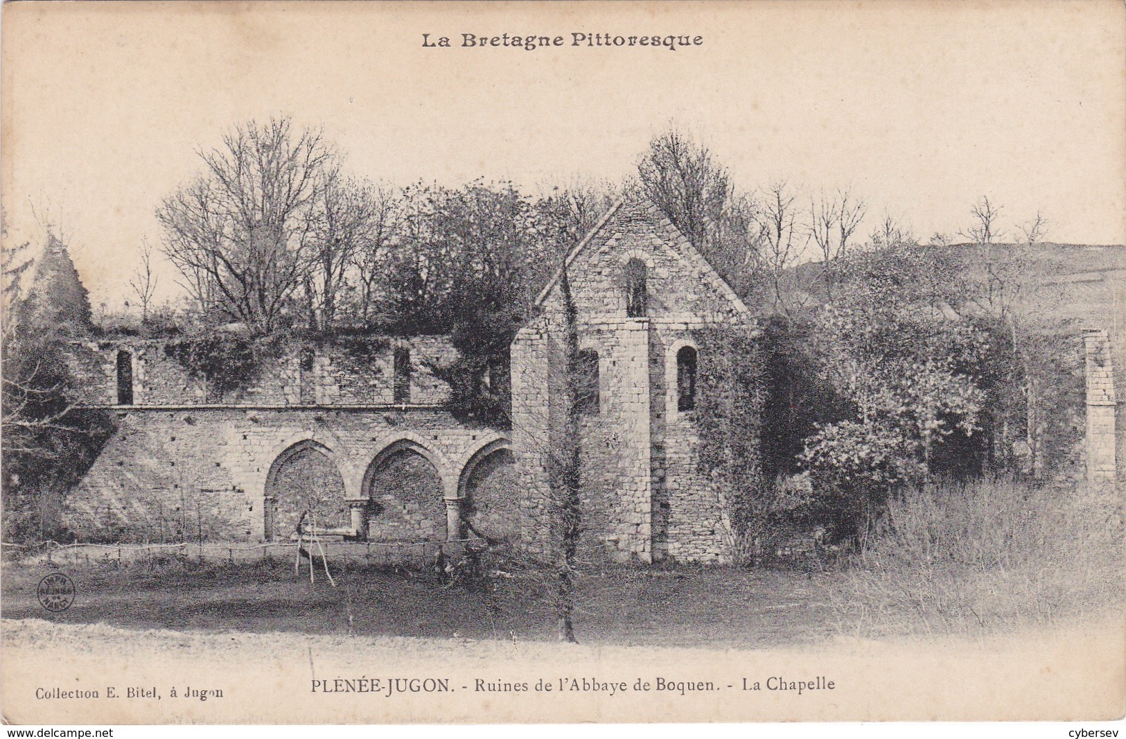 PLENEE-JUGON - Ruines De L'Abbaye De Boquen - La Chapelle - TBE - Plénée-Jugon