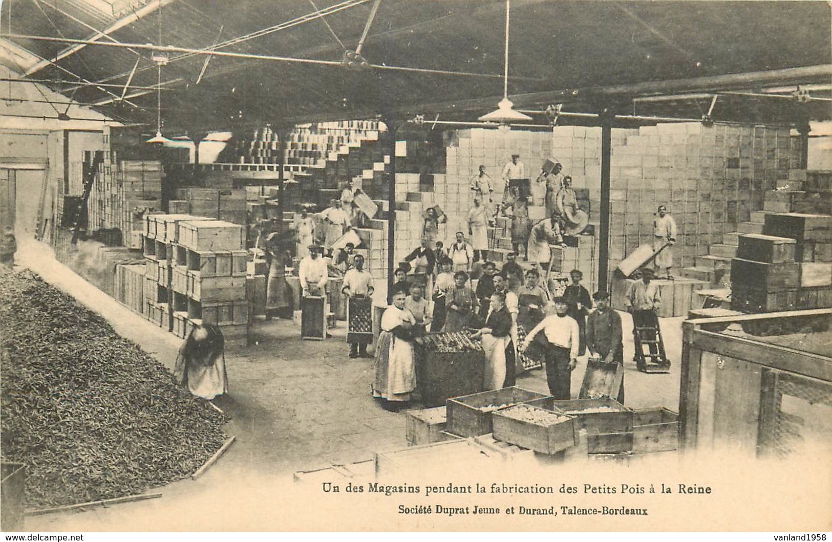 TALENCE-BORDEAUX-société Jeune Et Durand-un Des Magasins Pendant La Fabrication Des Petits Pois à La Reine - Bordeaux