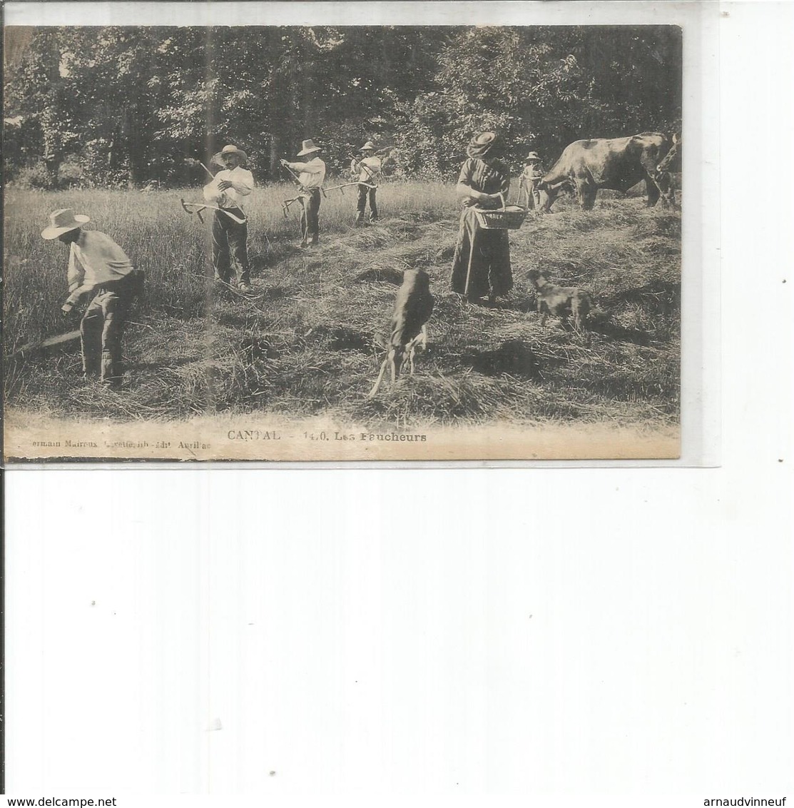 15-CANTAL LES FAUCHEURS - Sonstige & Ohne Zuordnung