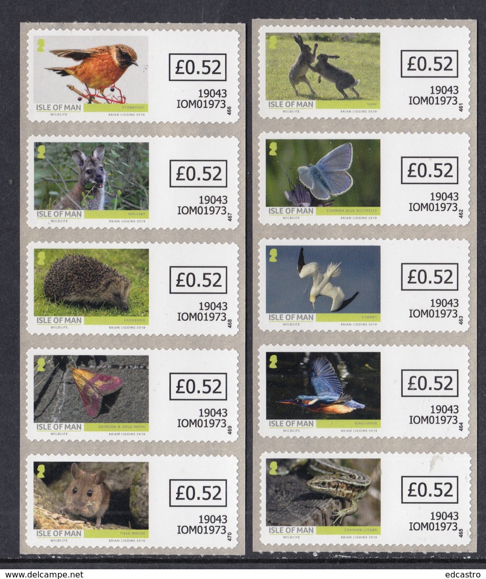 1.- ISLE OF MAN 2019 Isle Of Man Wildlife - VVD Self Adhesive Set - Isla De Man