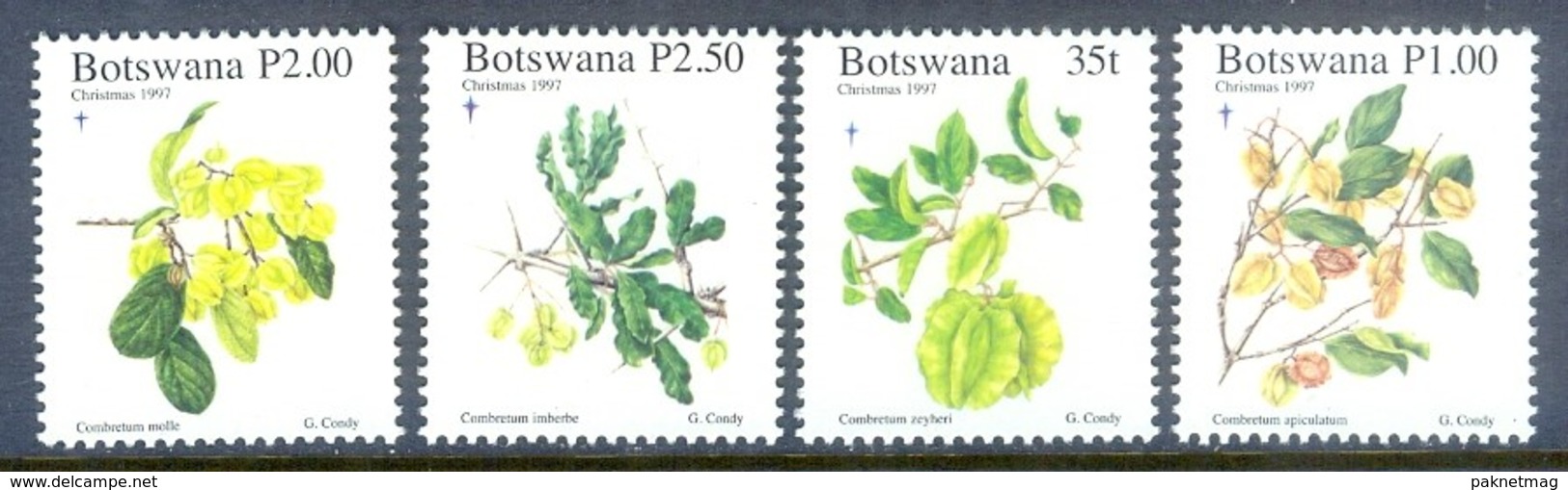 M131- Botswana 1997. Flowers. Christmas. - Botswana (1966-...)