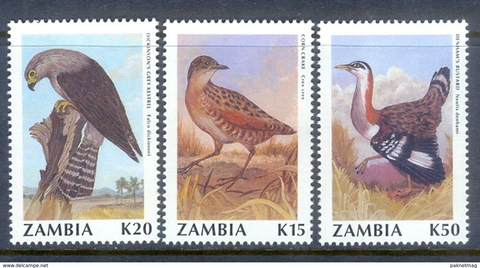 M135- Zambia 1991 Birds. - Zambie (1965-...)