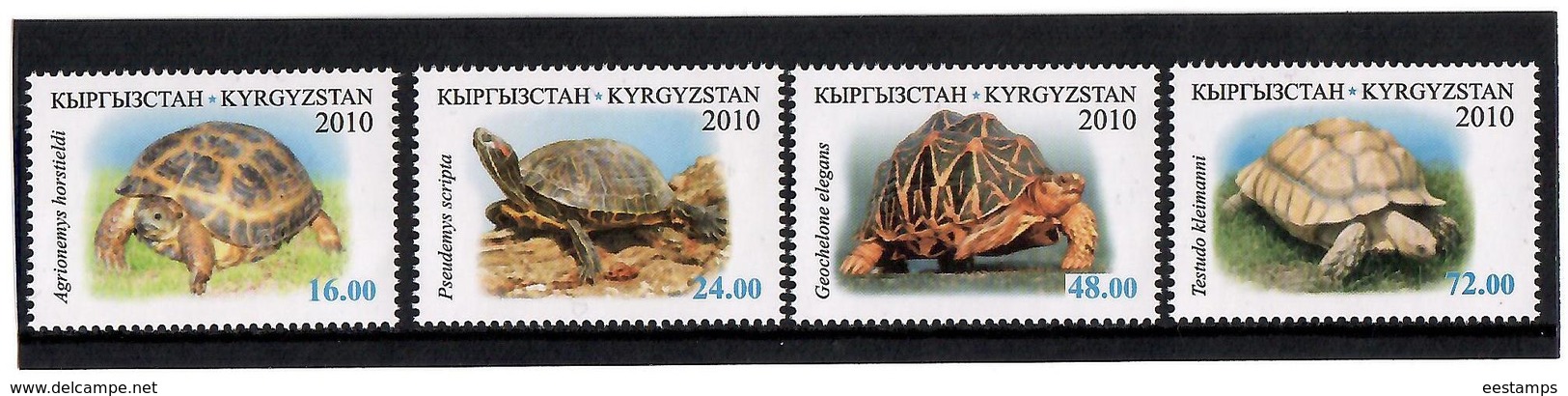 Kyrgyzstan.2010 Fauna. Turtles. 4v: 16, 24, 48, 72  Michel # 644-47 - Kirgisistan