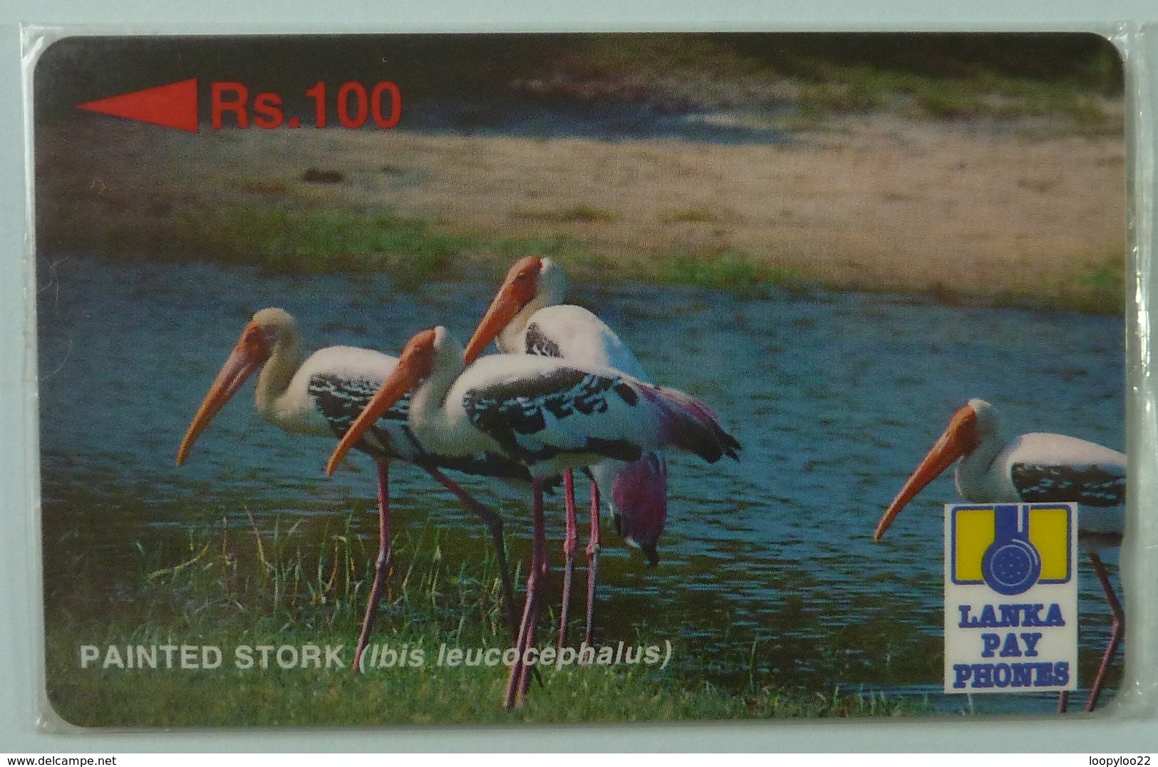 SRI LANKA - GPT - 21SRLA  - Rs 100 - Painted Stork - Mint Blister - Sri Lanka (Ceilán)