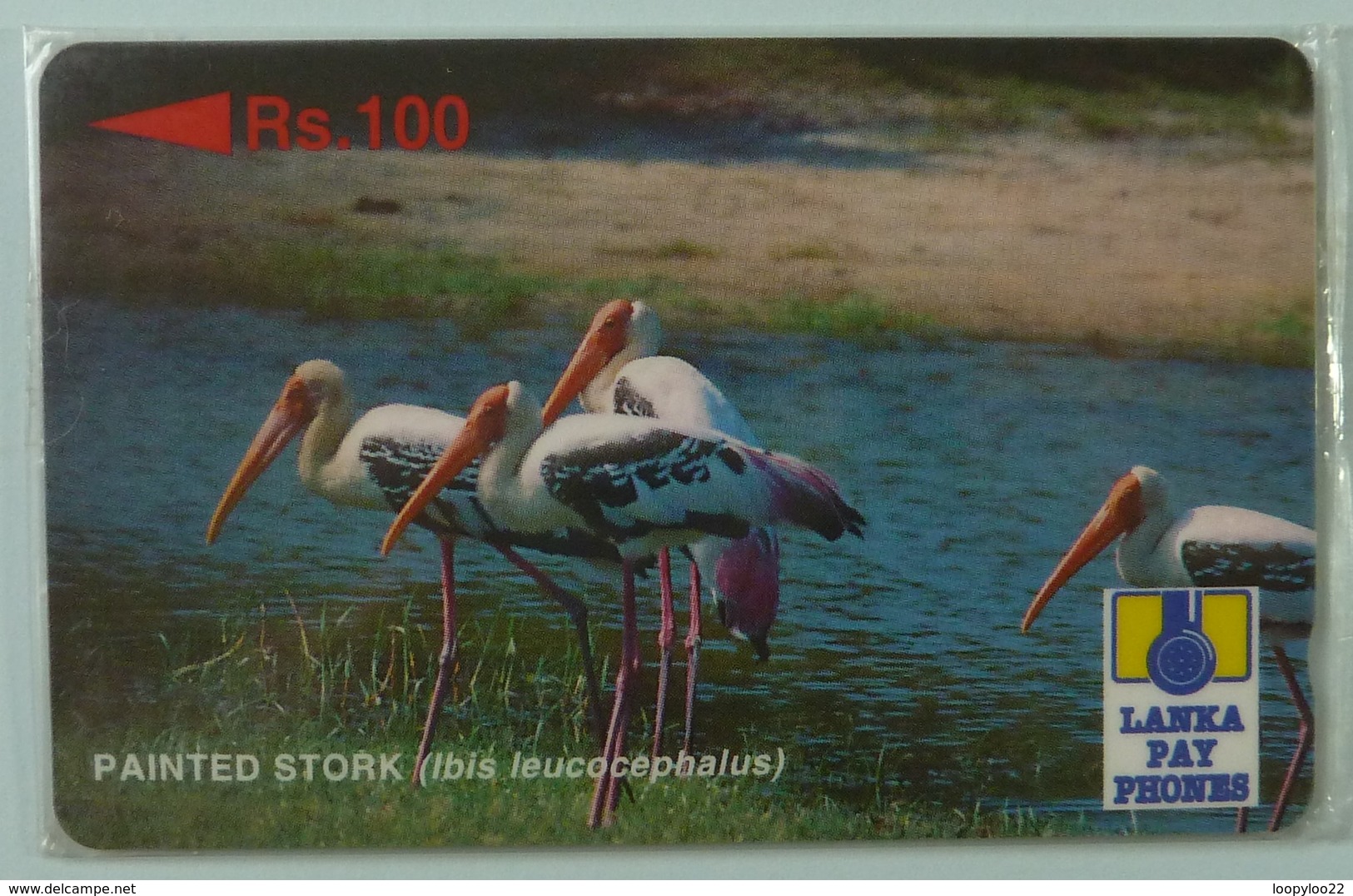 SRI LANKA - GPT - 21SRLA  - Rs 100 - Painted Stork - Mint Blister - Sri Lanka (Ceylon)