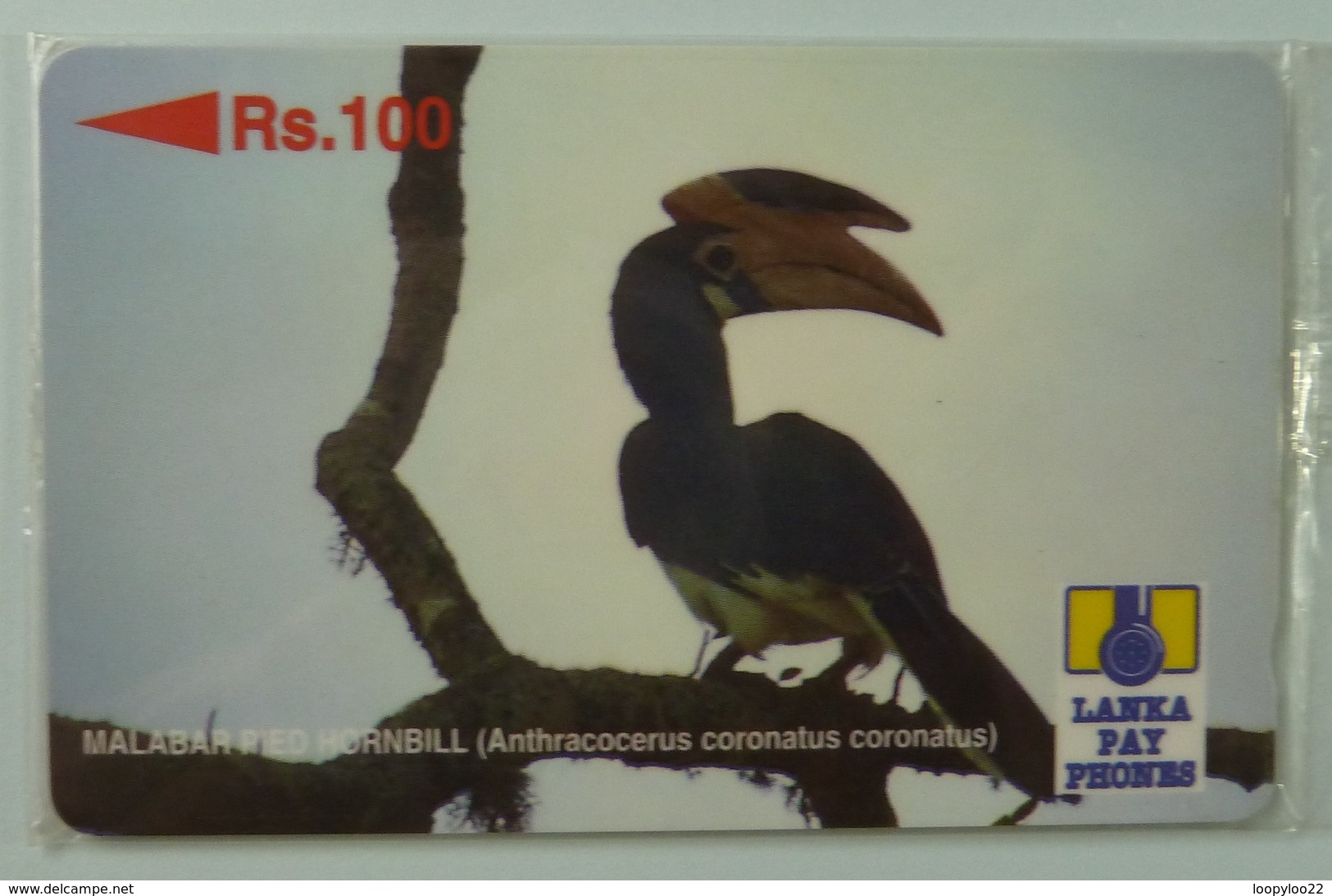 SRI LANKA - GPT - 21SRLE  - Rs 100 - Malabar Red Hornbill - Mint Blister - Sri Lanka (Ceylon)