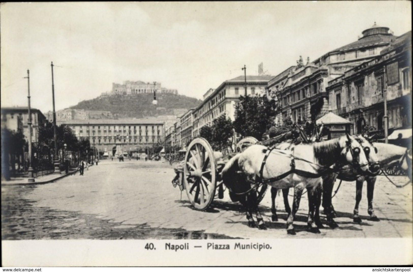 Cp Napoli Neapel Campania, Piazza Municipio, Baroccio, Cavalli - Altri & Non Classificati