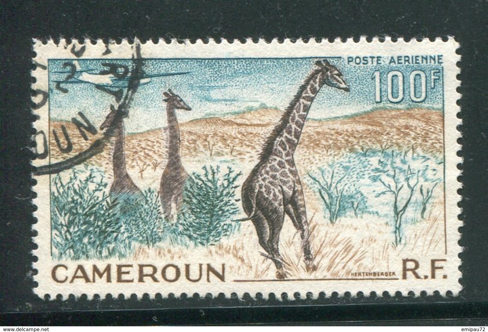 CAMEROUN- P.A Y&T N°47- Oblitéré (girafes) - Poste Aérienne