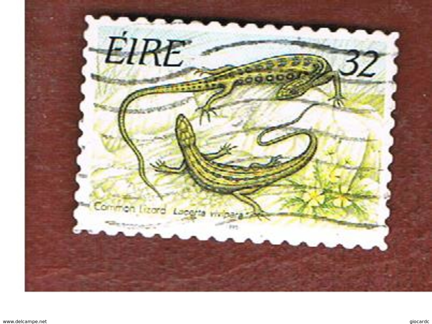 IRLANDA (IRELAND) - SG 970   - 1995  ANIMALS: ZOOTOCA VIVIPARA    - USED - Usati