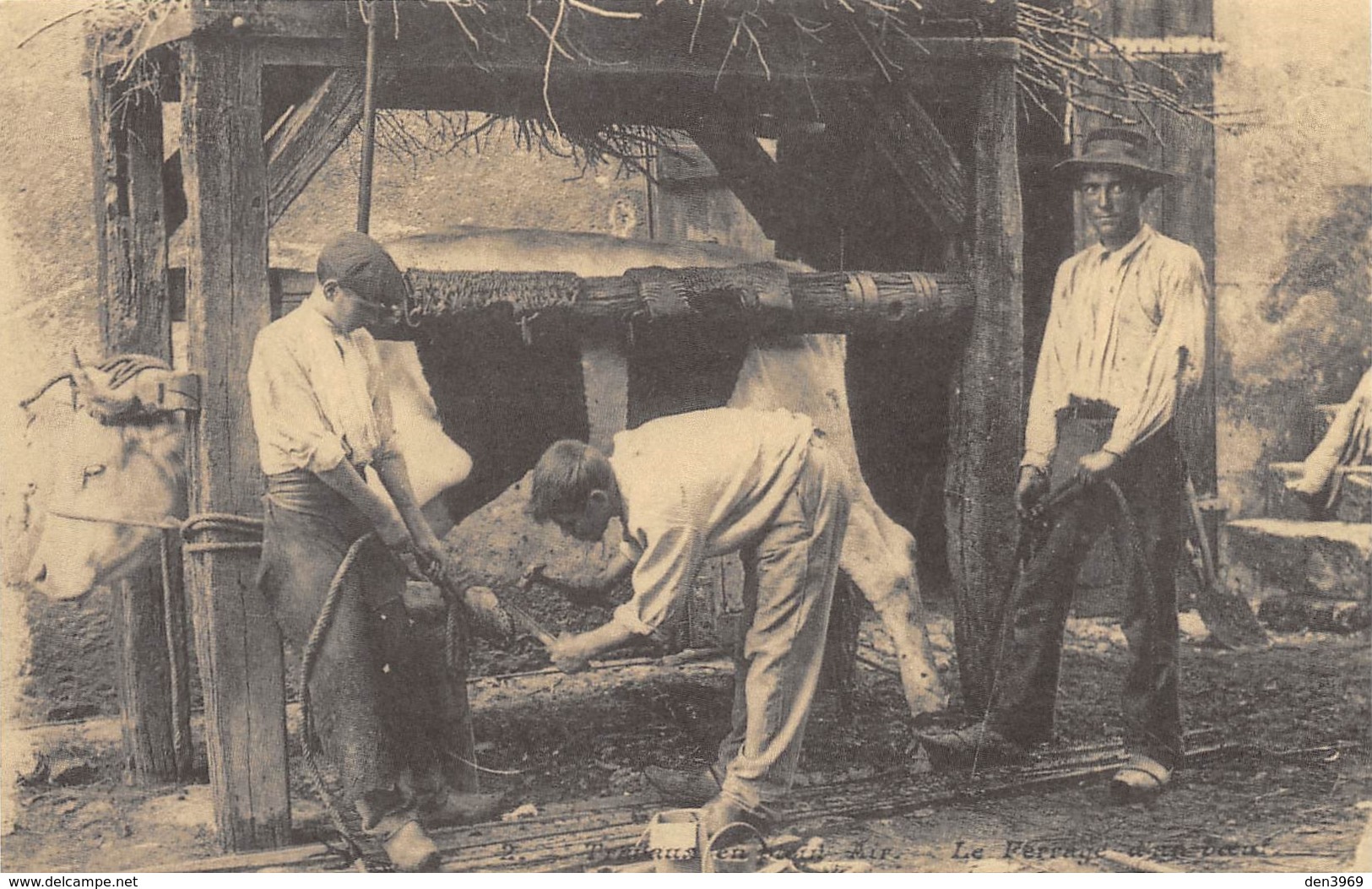 Travaux En Plein Air - Le Ferrage D'un Boeuf - Maréchal-Ferrant - Cecodi N'1094 - Autres & Non Classés