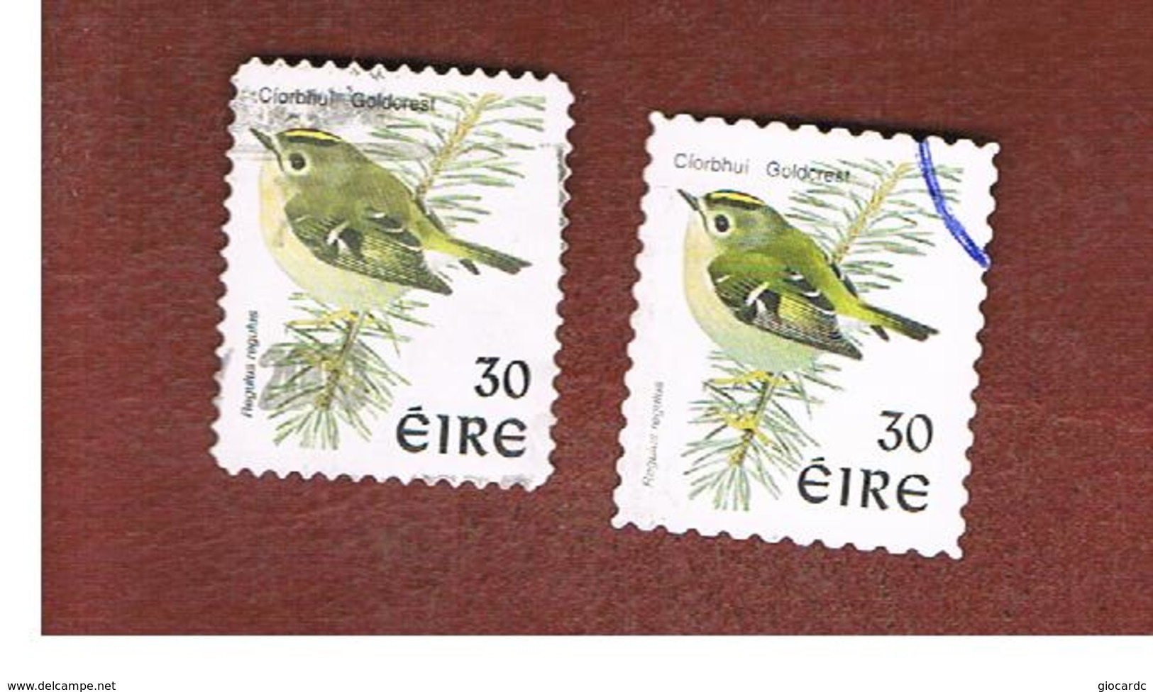 IRLANDA (IRELAND) - SG 1086  - 1998   BIRDS: REGULUS REGULUS (2 DIFFERENT PERFORATIONS)  - USED - Usati