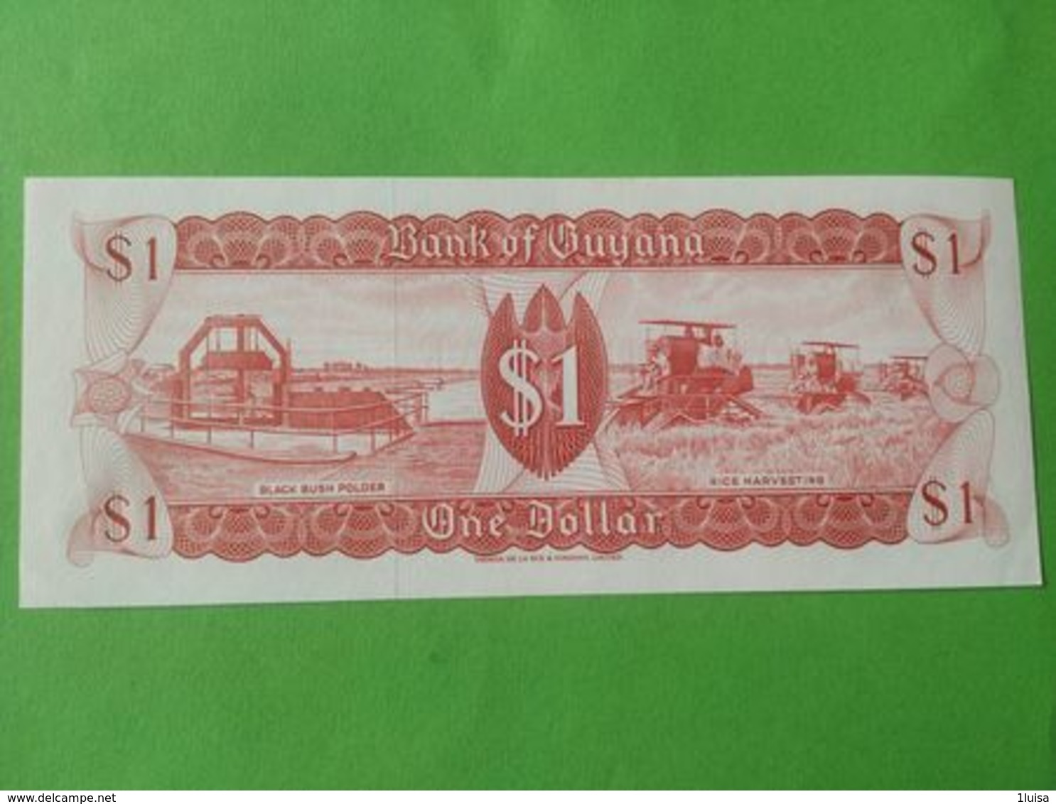 One Dollar - Guyana