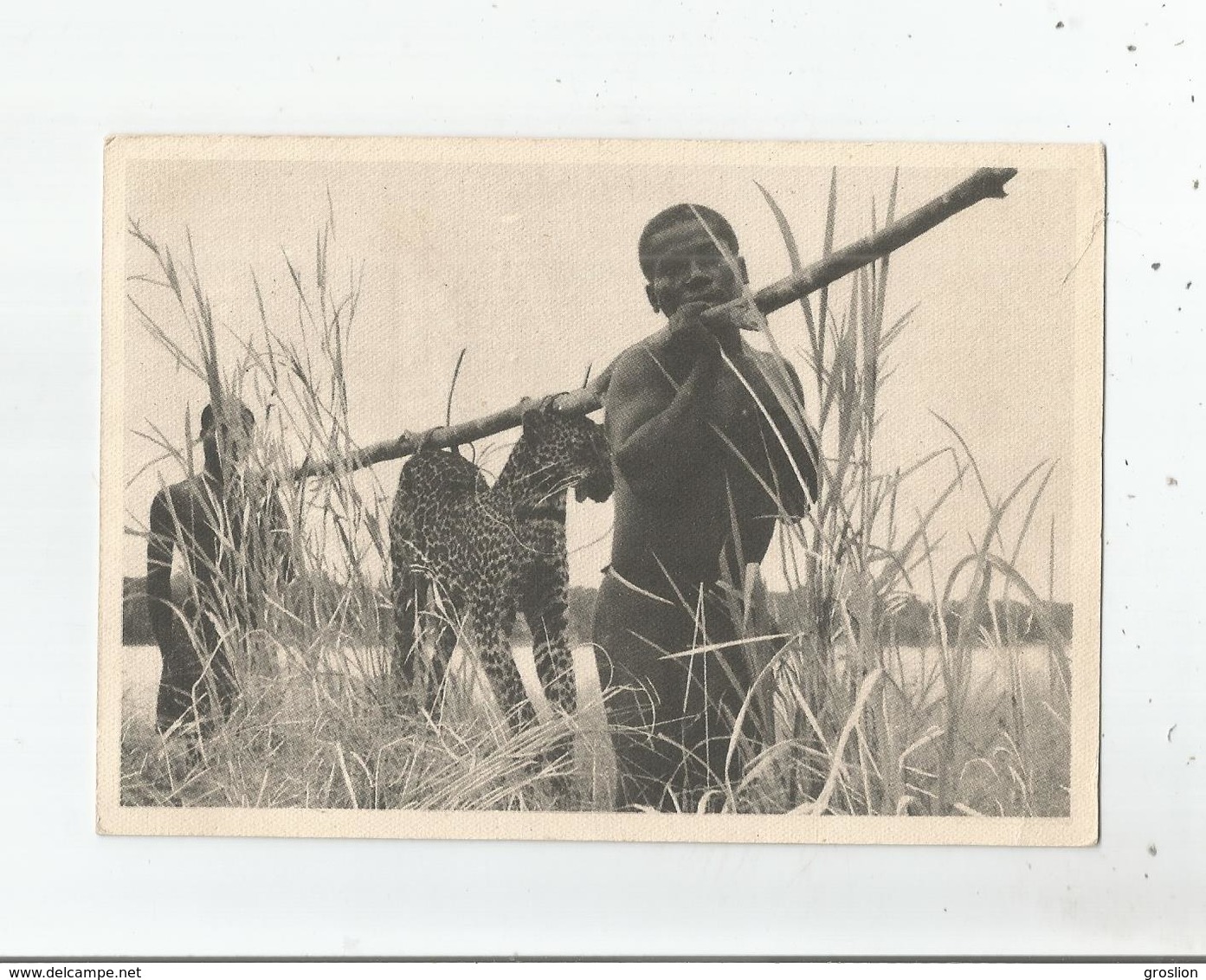 CONGO BELGE CHASSE AU LEOPARD - Congo Belge