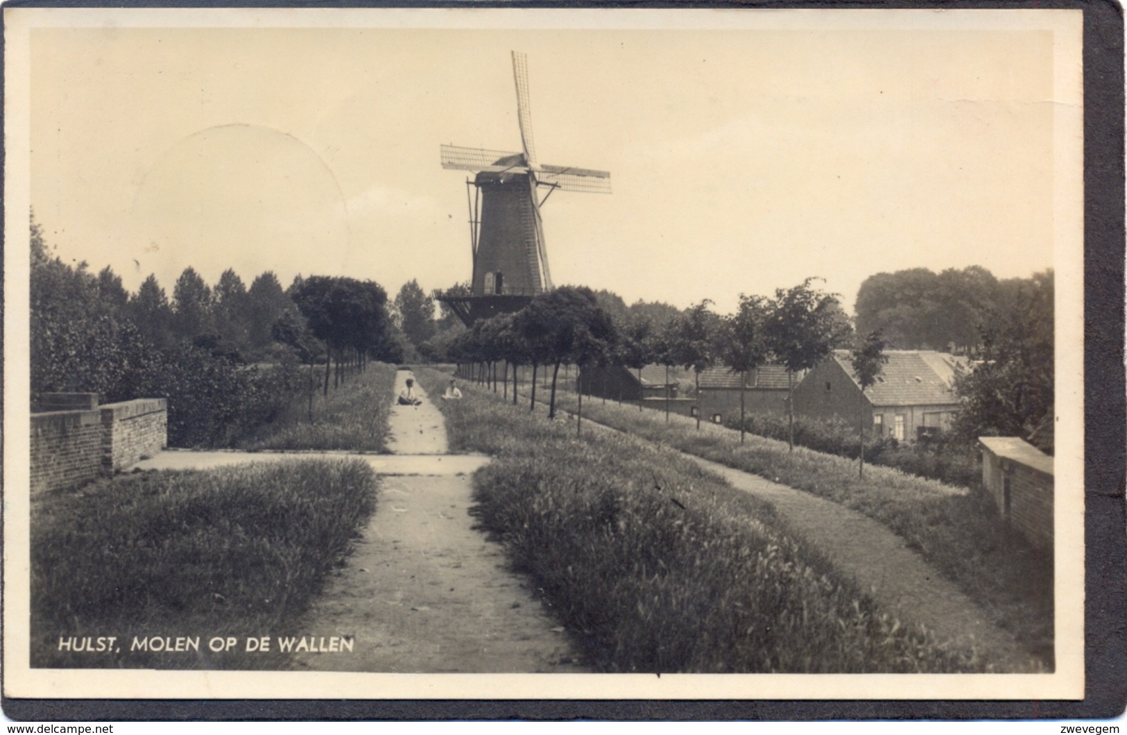 HULST - Molen Op De Wallen - Hulst