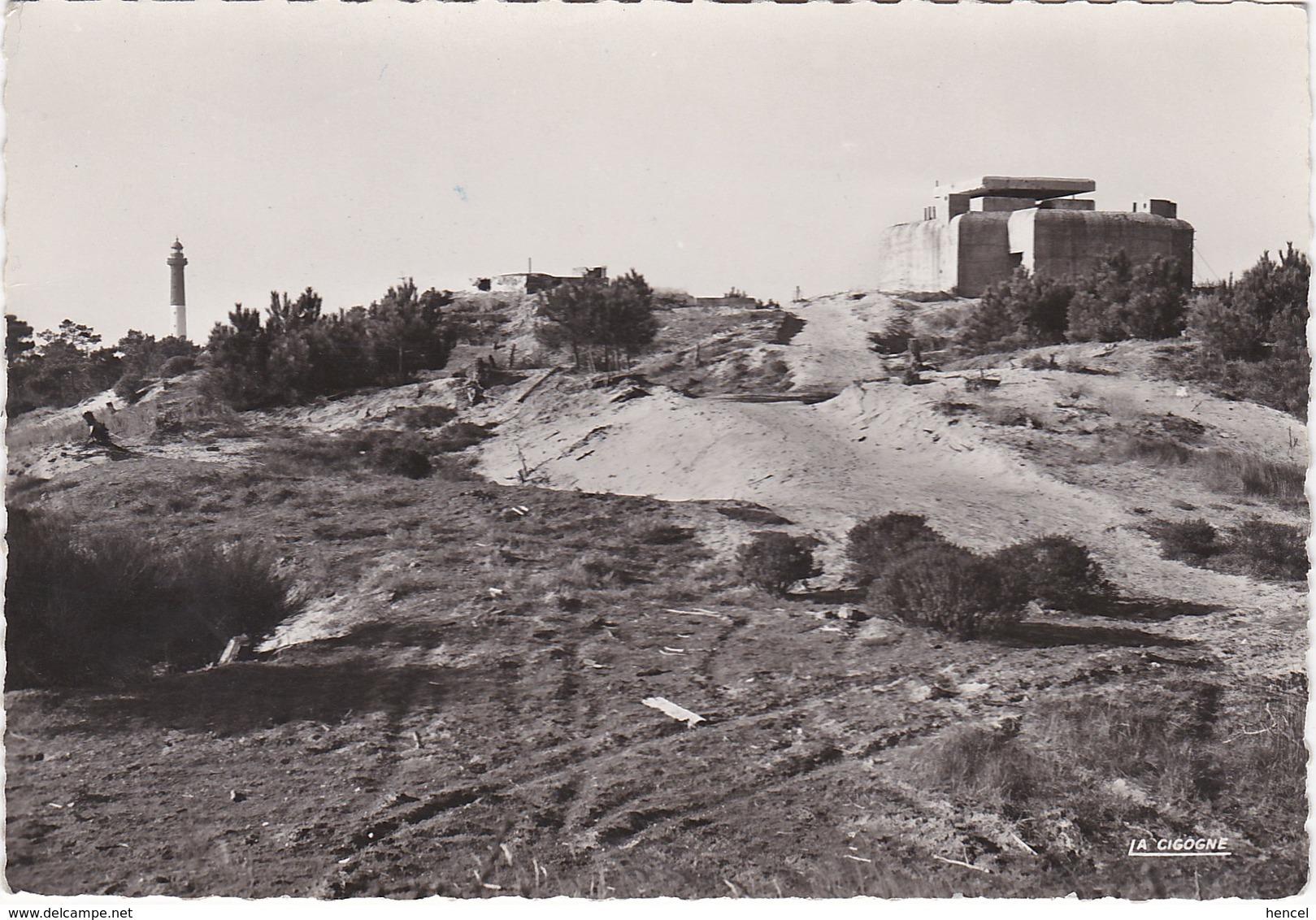 Environs De MATHES - La COUBRE - Les Mathes