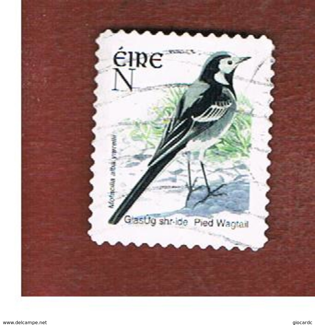 IRLANDA (IRELAND) - SG 1495c  -   2003  BIRDS: MOTACILLA ALBA  (N)   - USED - Usati