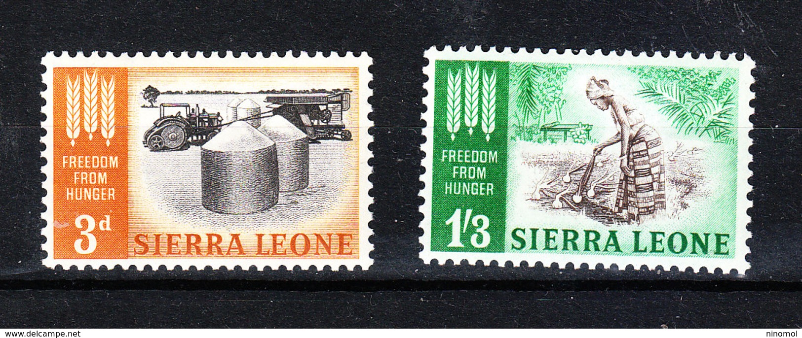 Sierra Leone - 1963. Contro La Fame. Silos E Raccolta Ortaggi. Freedom From Hunger.MNH - Alimentación