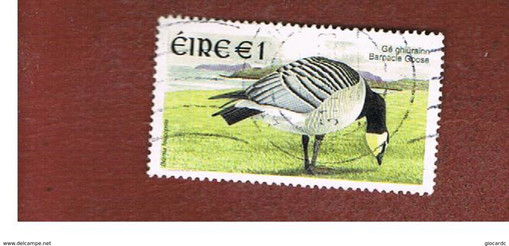 IRLANDA (IRELAND) - SG 1483  -   2002    BIRDS: BRANTA LEUCOPSIS  - USED - Usati