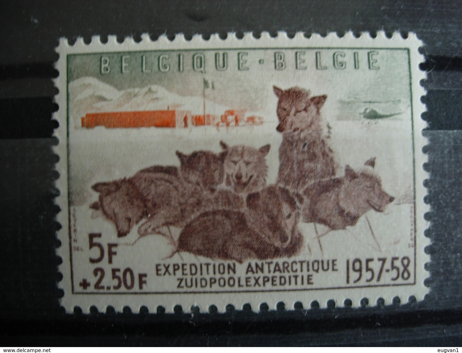 Belgique. 1030** Expédition Belge:  En Antarctique. De Gerlache - Neufs