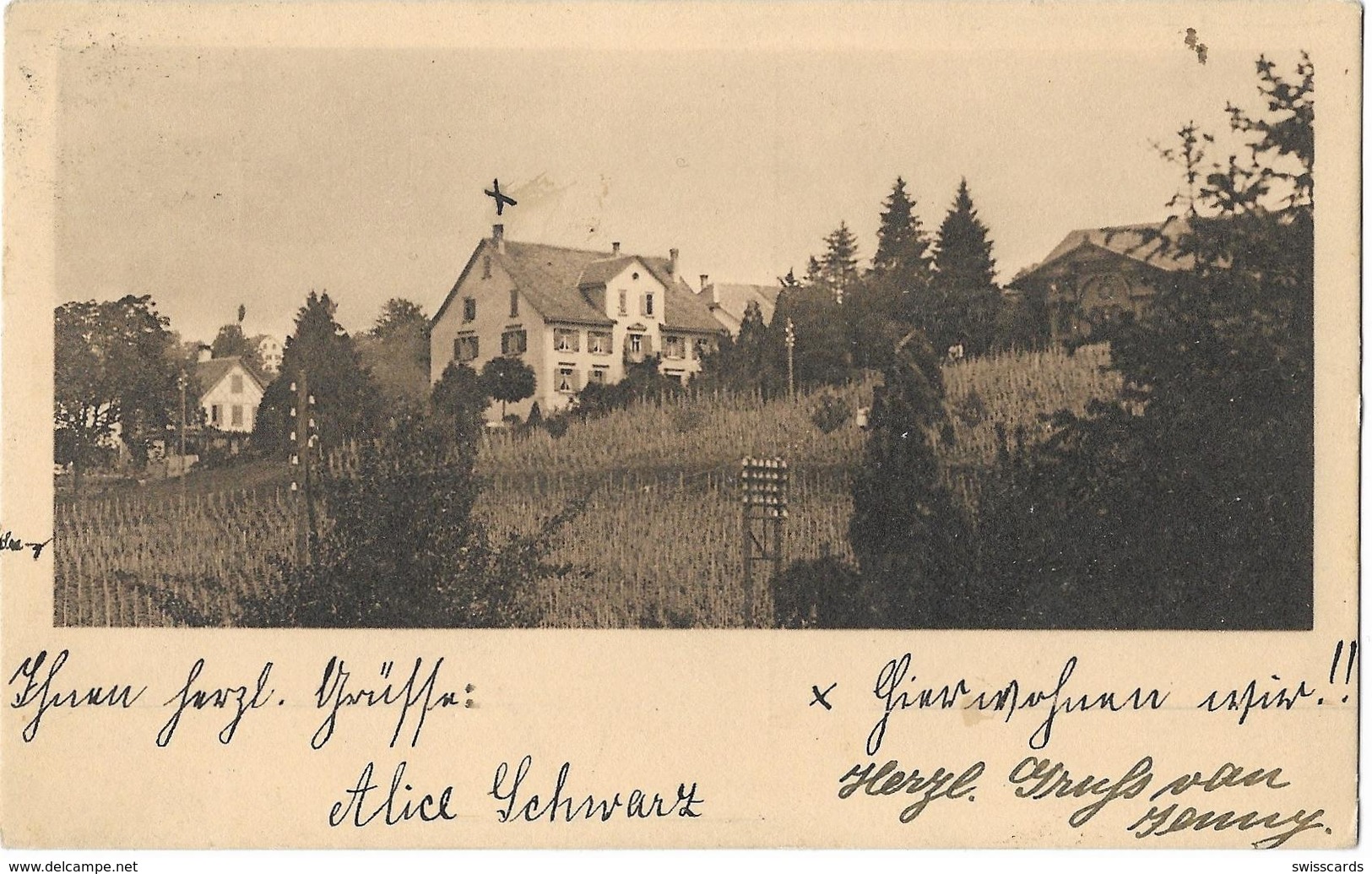 KÜSNACHT: Weinberg Mit Privathäuser, Strommasten 1913 - Küsnacht