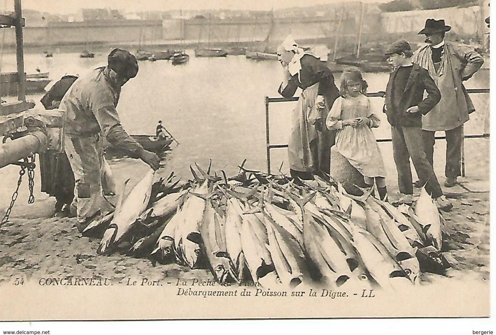 St/      29   Concarneau        Débarquement Du Poisson           (animations) - Concarneau