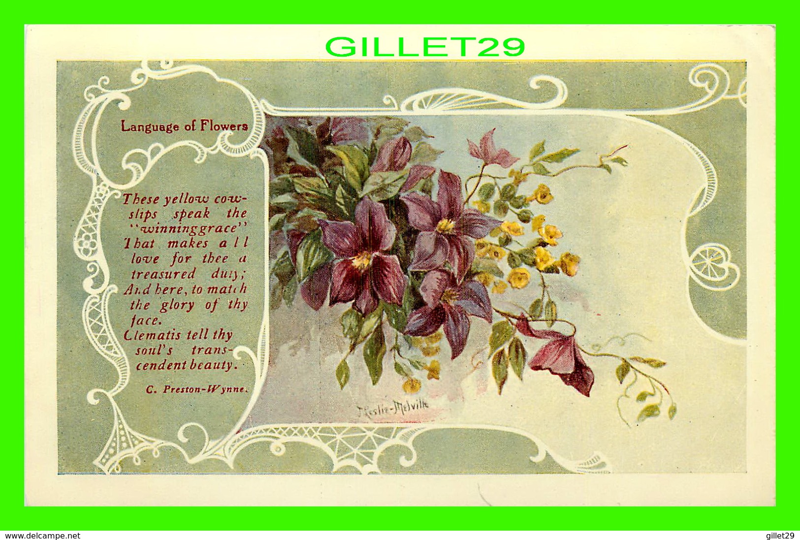 FLEURS - FLOWERS - LANGUAGE OF  FLOWERS - THESE YELLOW COWSLIPS & CLEMATIS - C. PRESTON-WYNNE - TRAVEL IN 1908 - - Fleurs