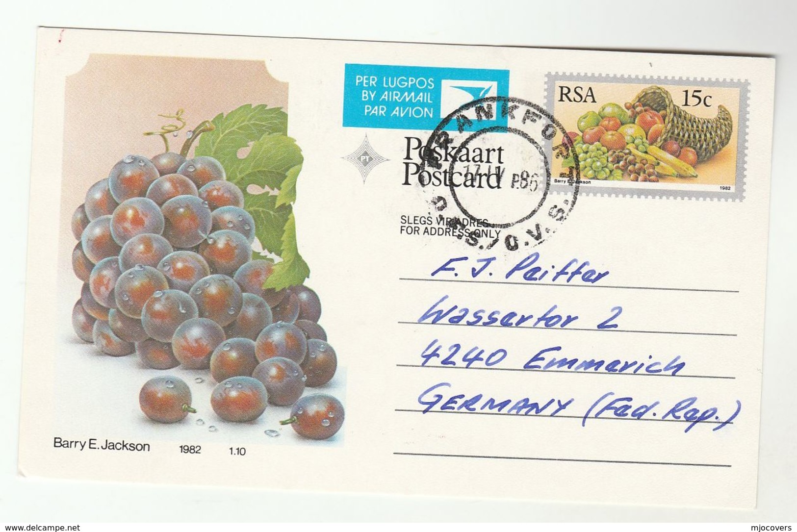 1986 SOUTH AFRICA AIRMAIL Postal STATIONERY CARD Illus GRAPES To Germany Fruit Cover - Covers & Documents