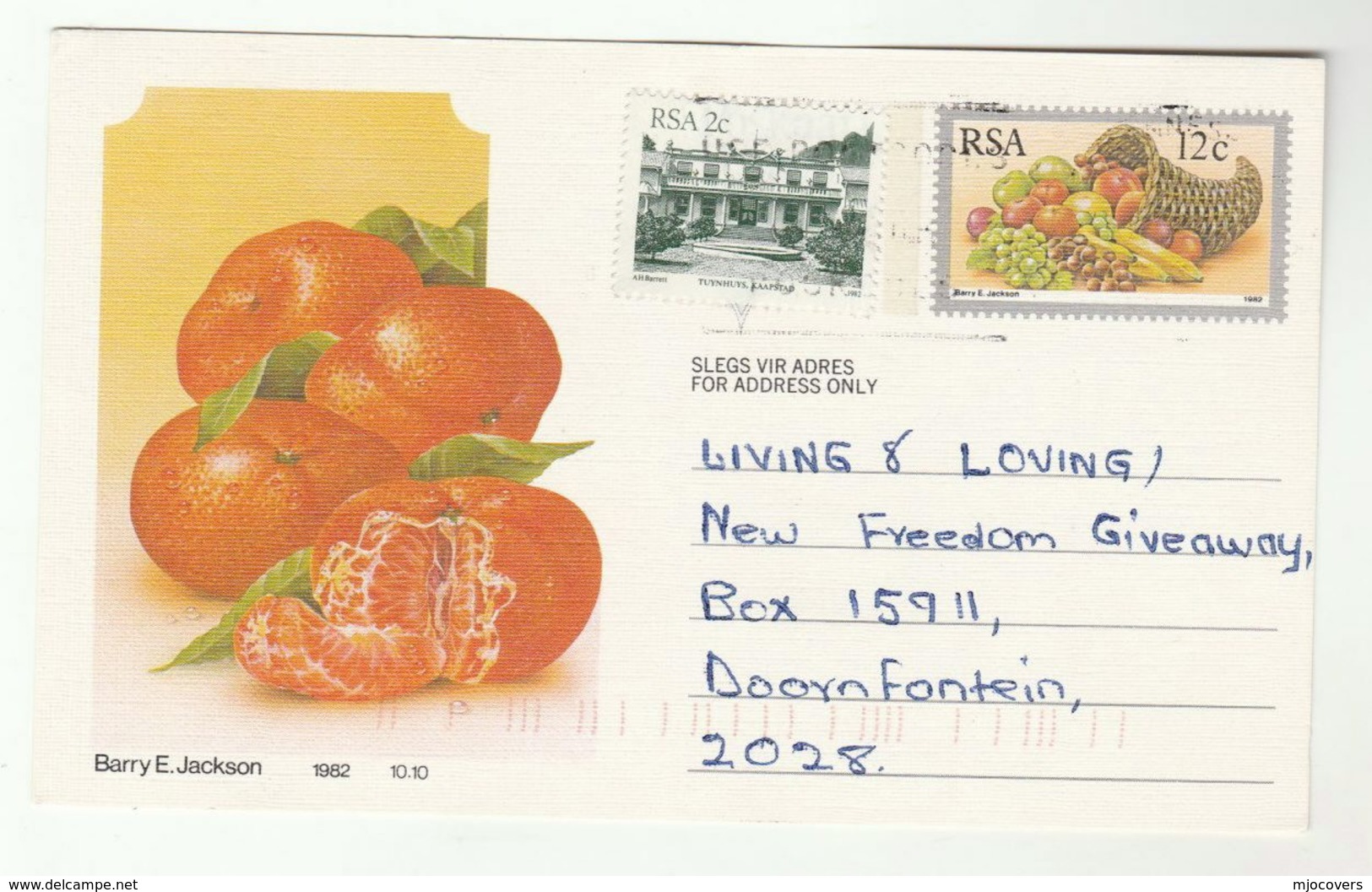 1985c Southdale SOUTH AFRICA Stamps On  UPRATED Postal STATIONERY CARD Illus SATSUMA Orange Fruit Cover - Covers & Documents