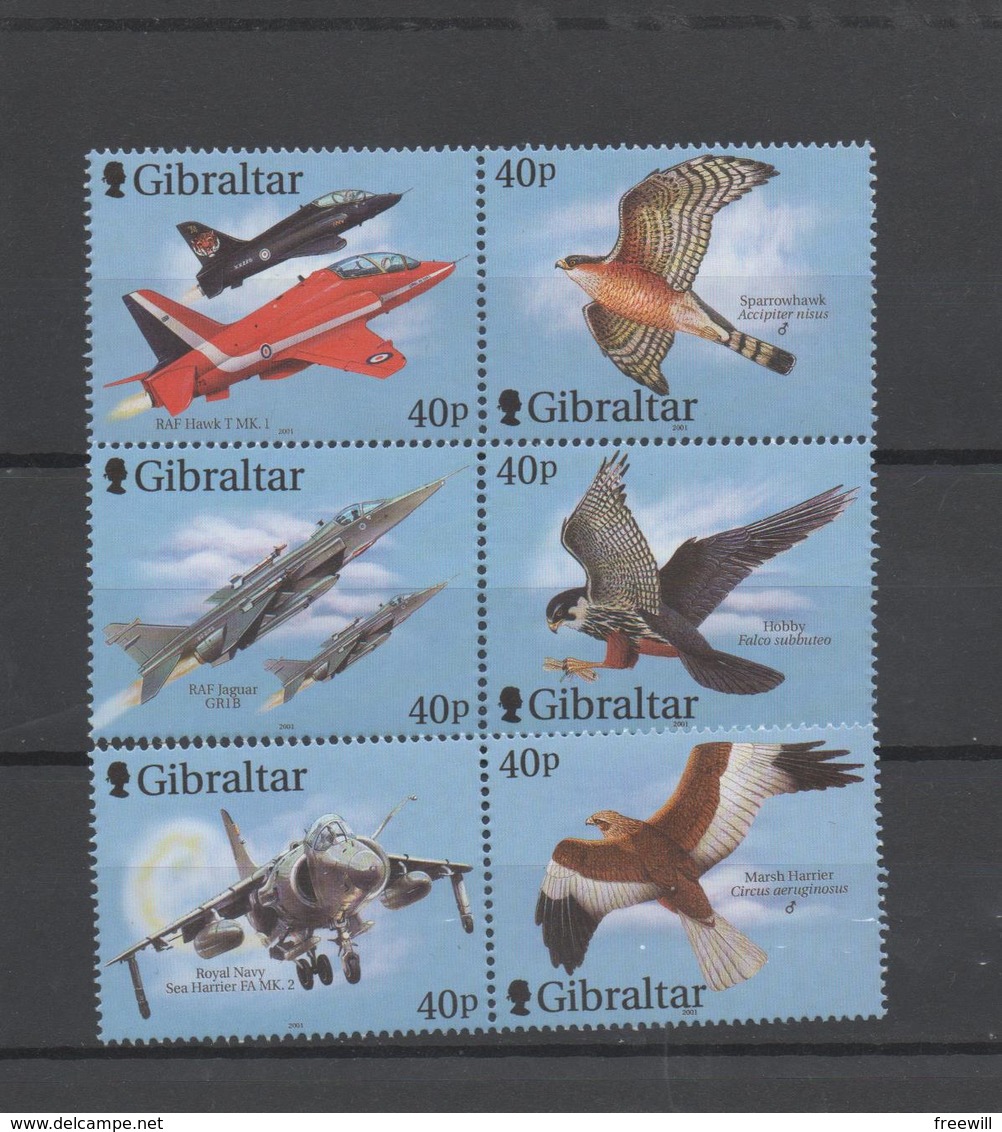 Avions Et Oiseaux- Airplanes And Birds - Gibraltar