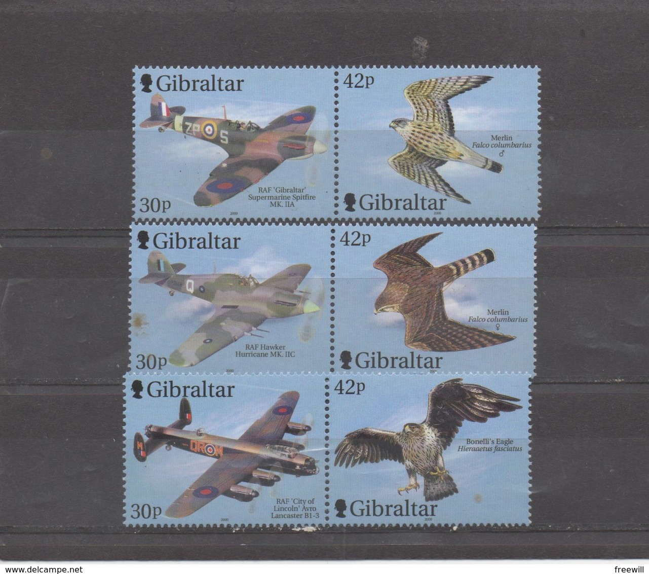 Avions Et Oiseaux- Airplanes And Birds - Gibraltar