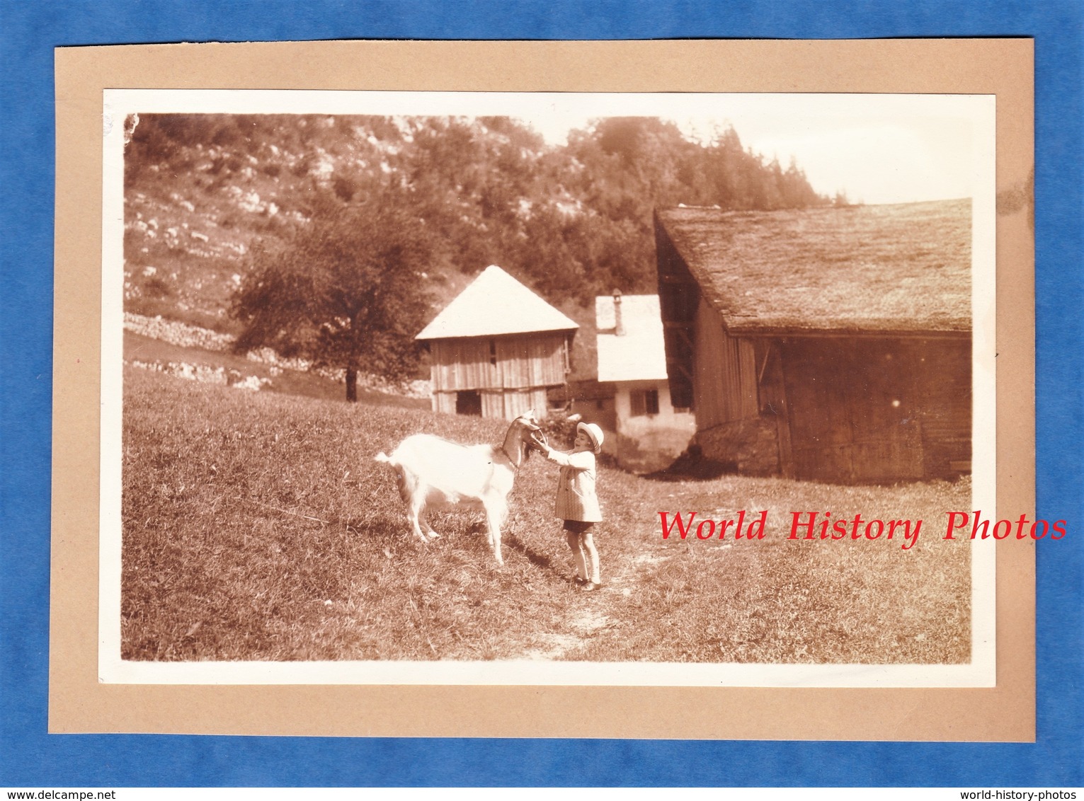 2 Photos Anciennes - ABONDANCE ( Haute Savoie ) - Superbe Cliché De Petite Fille & Chèvre - Sept 1930 - Alpes Montagne - Anciennes (Av. 1900)