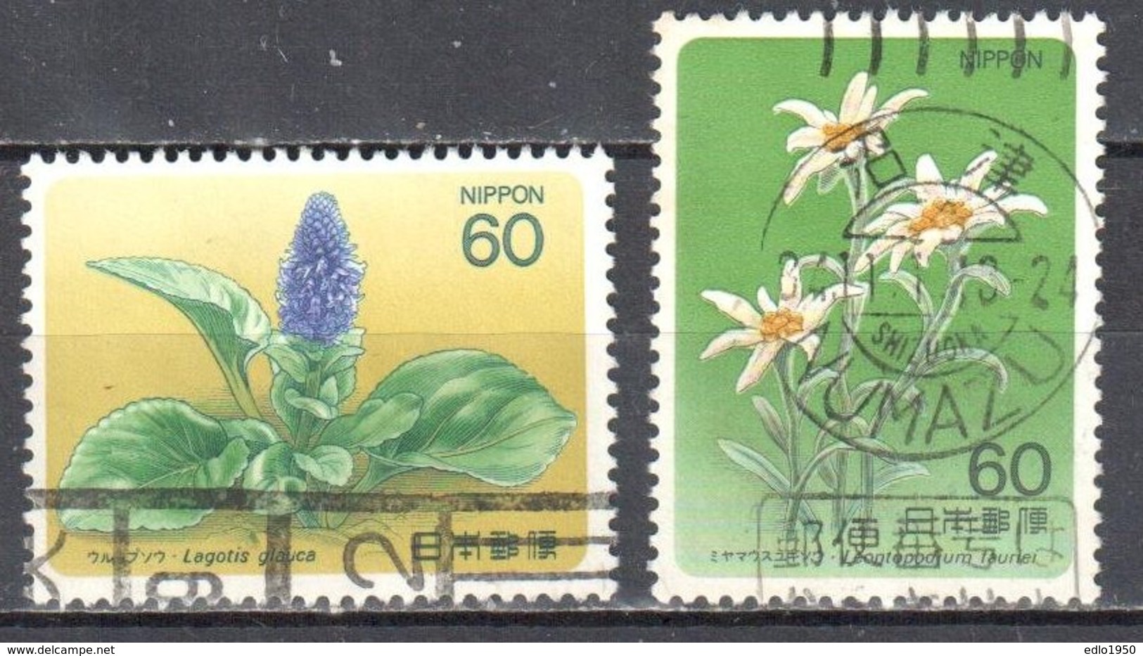 Japan 1984 - Flowers - Mi.1596-97 - Used - Used Stamps