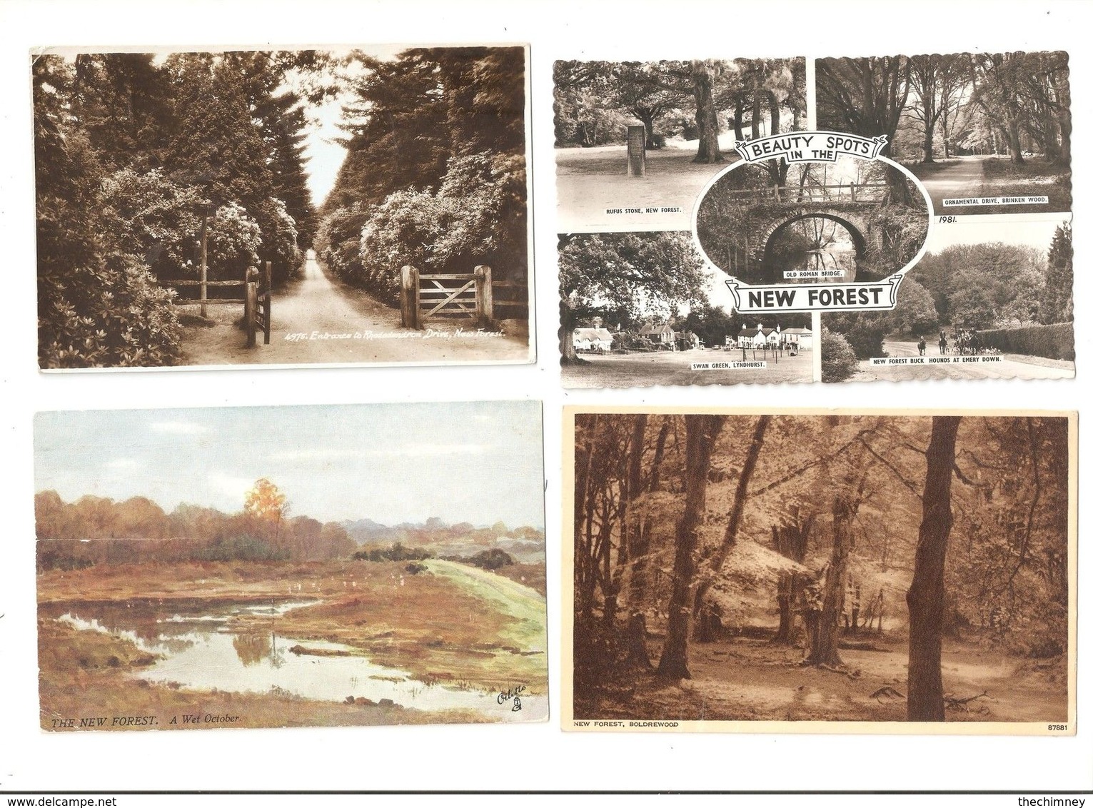 FOUR OLD POSTCARDS OF THE NEW FOREST HAMPSHIRE - Otros & Sin Clasificación