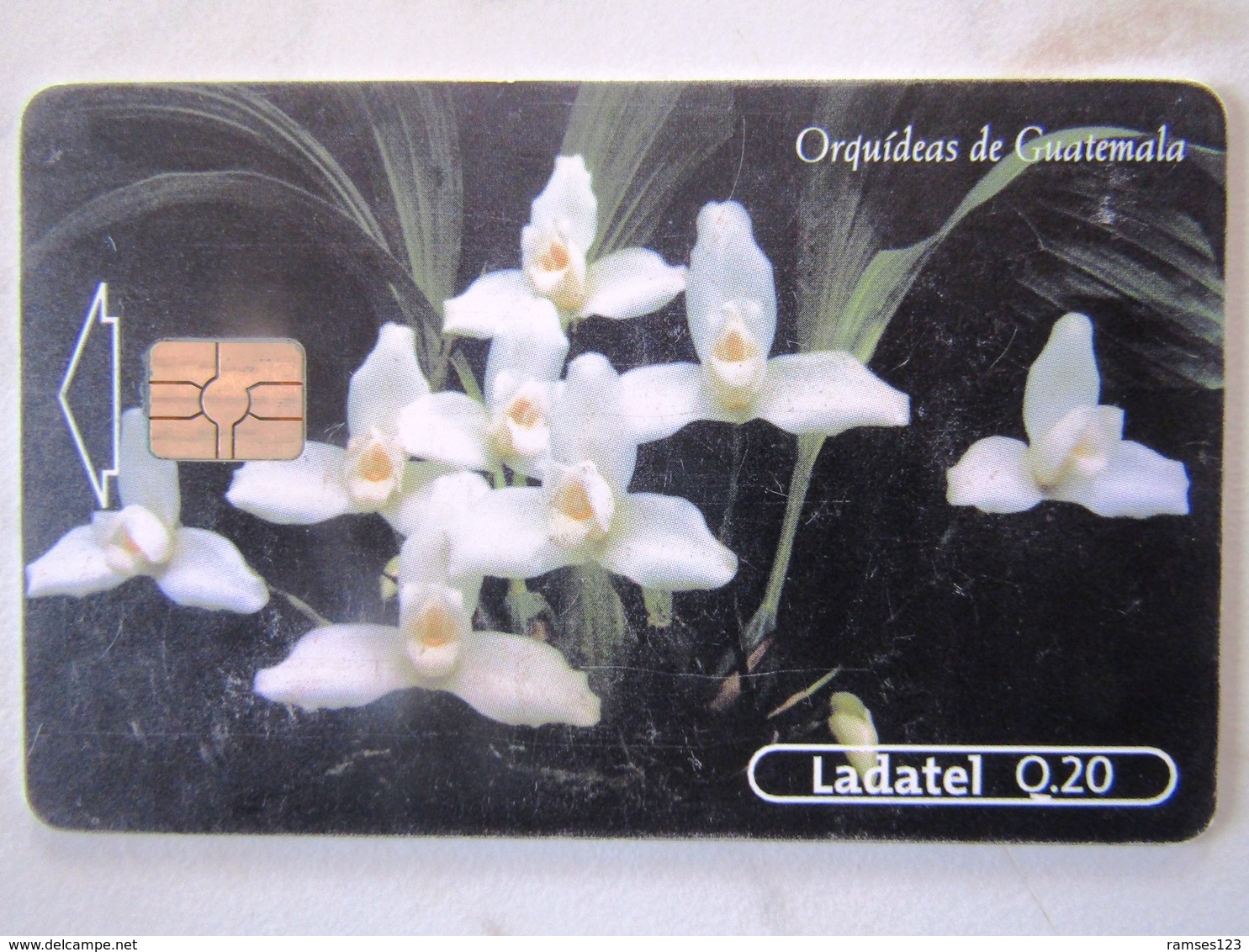 1   CARD GUATEMALA  ORCHIDDEE   2/4 - Guatemala