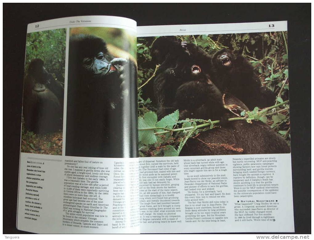 SABENA REVUE Winter 1989/1990 - 66 Pagina's - Thema Nummer Natuur Oa Gorilla's - Aviation