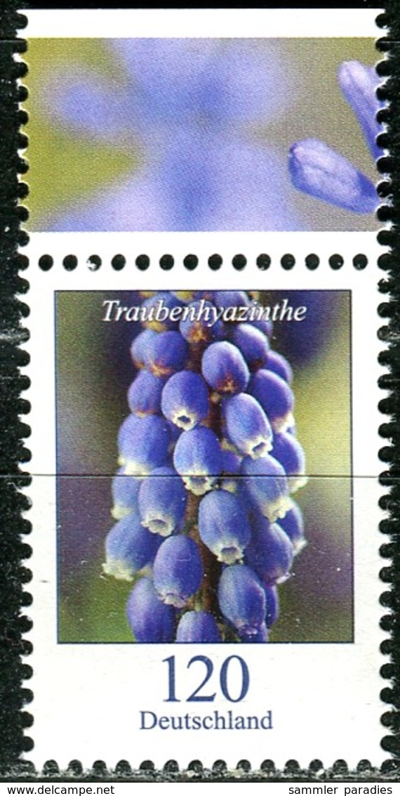 BRD - Mi 3447 Oberrand - ** Postfrisch (P) - 120C     Traubenhyazinthe, Ausgabe 01.03.2019 - Unused Stamps