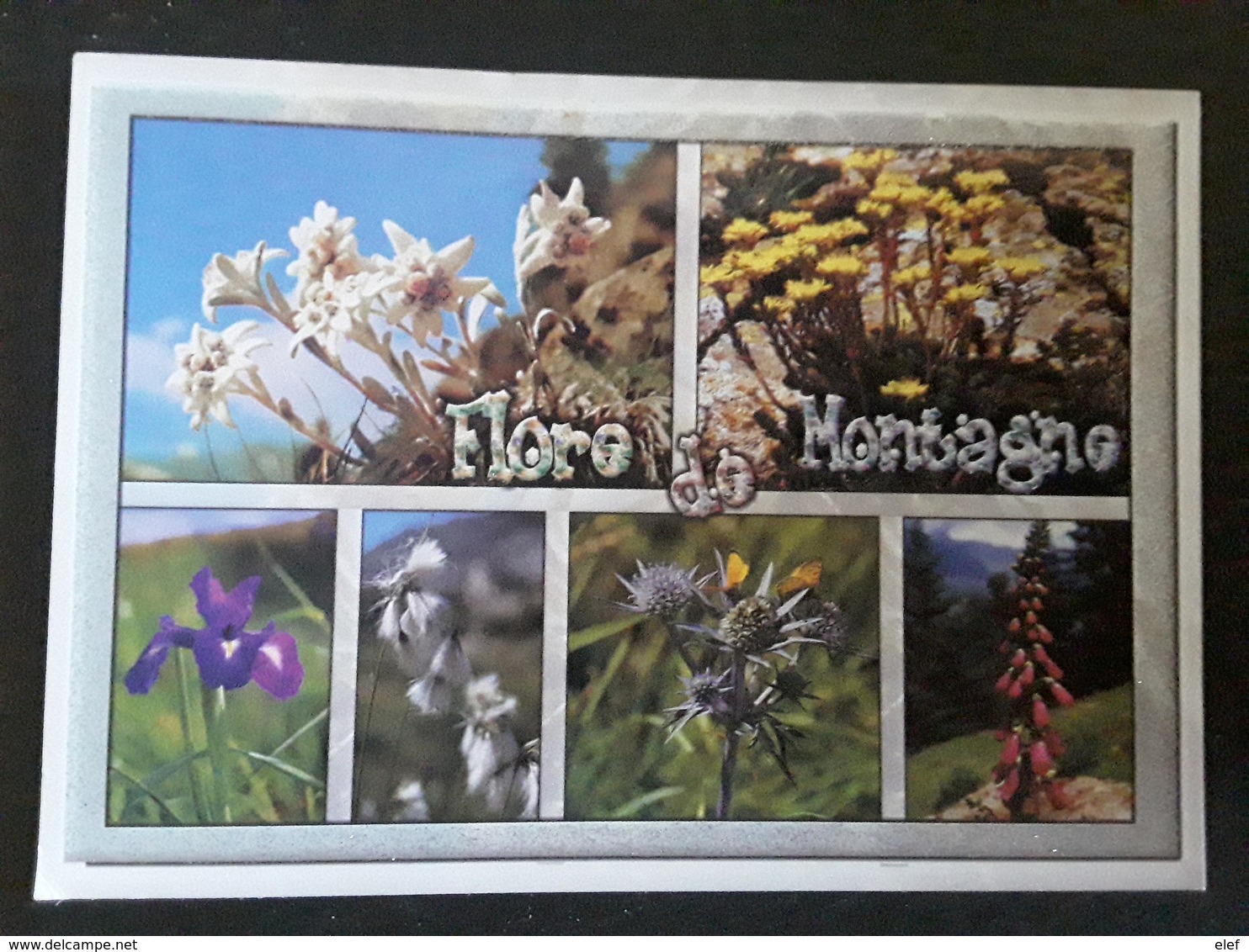 LES PYRÉNÉES,  Flore De Montagne, Eddelweiss ,Sedum, Iris, Linaigrette, Eryngium, Digitale, 2010 TB - Toxic Plants