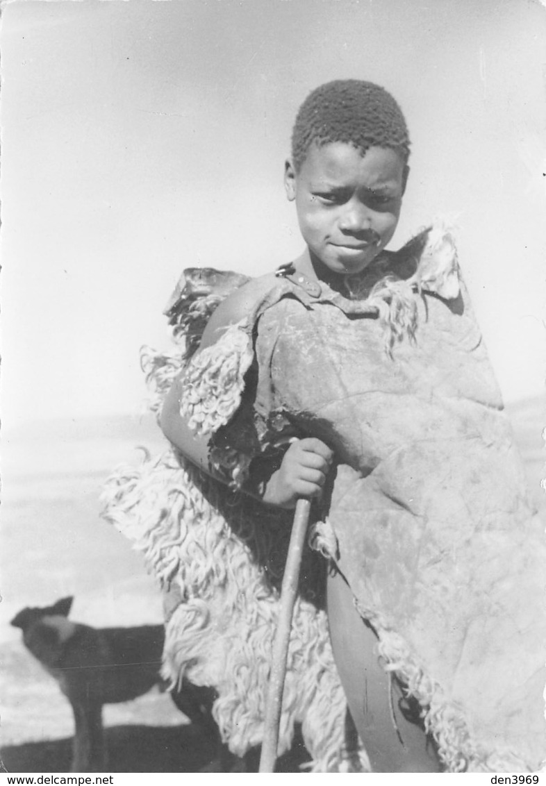 LESSOUTO - Petit Berger Des Montagnes - Lesotho