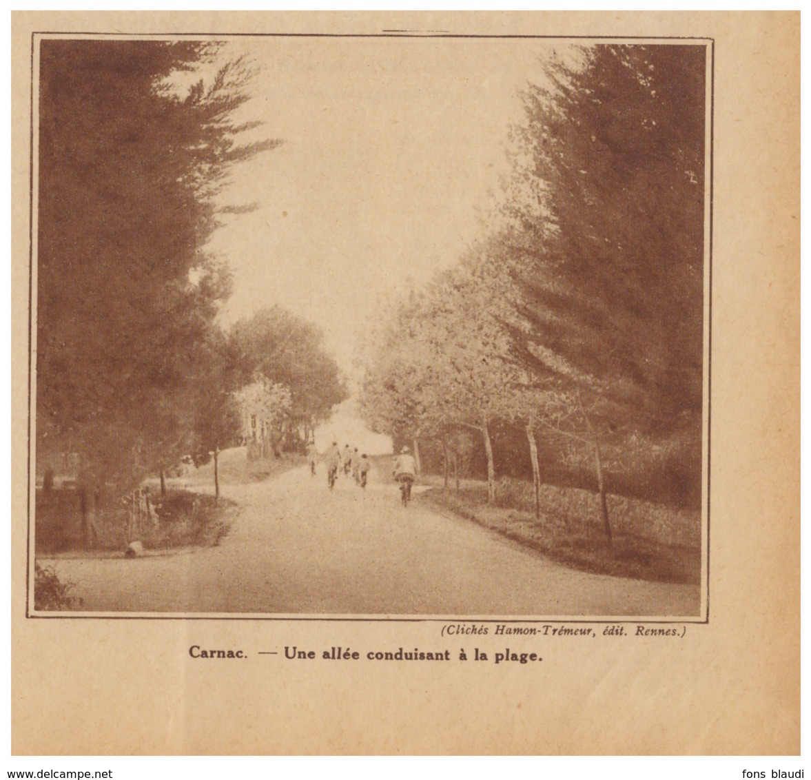 1932 - Iconographie - Carnac (Morbihan) - Une Allée Pour La Plage - FRANCO DE PORT - Non Classés