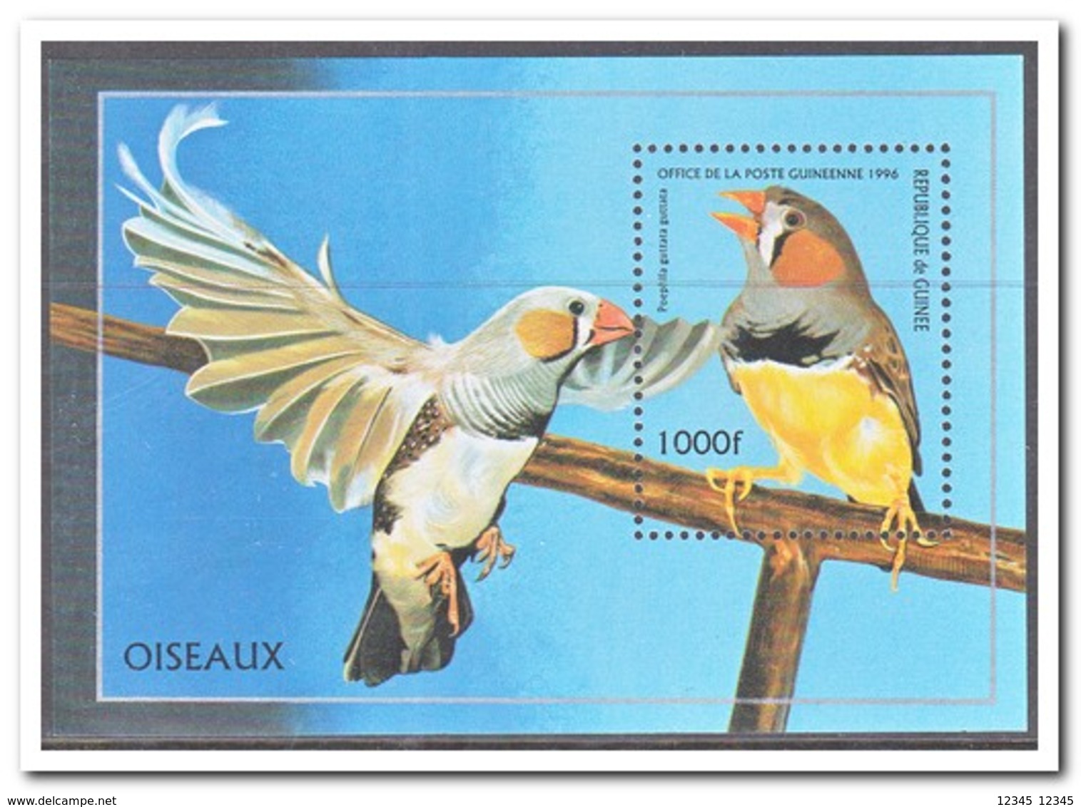 Guinee 1996, Postfris MNH, Birds - Guinee (1958-...)