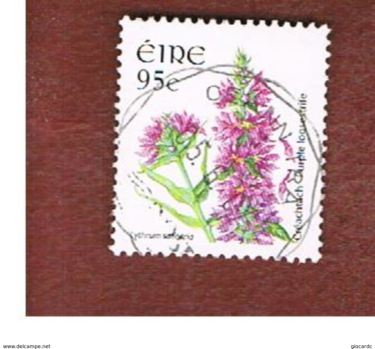 IRLANDA (IRELAND) - SG 1685 -   2007  FLOWERS & PLANTS:  LYTHRUM SALICARIA    - USED - Used Stamps