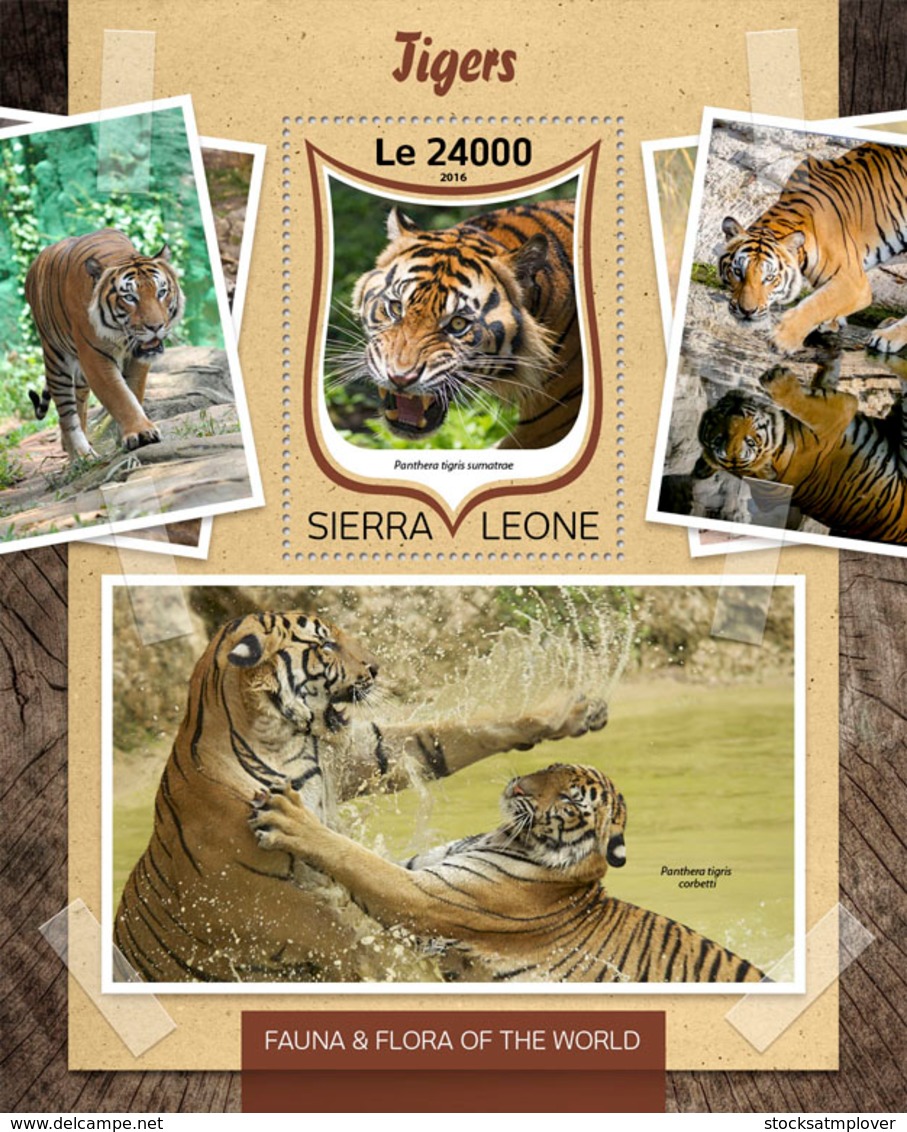Sierra Leone 2016 Fauna  Tigers - Sierra Leone (1961-...)